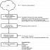 EDI integration in Oracle's JDE systems | EDI2XML