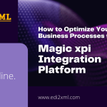 Magic xpi EDI2XML