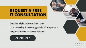 IT-consultation